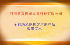 全自動米皮機效果展示